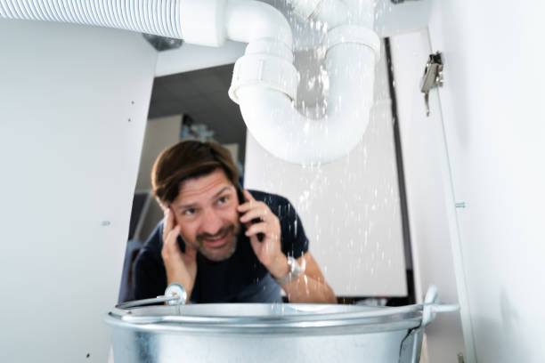 Best Local Plumber Services  in Lakeland Highlands, FL