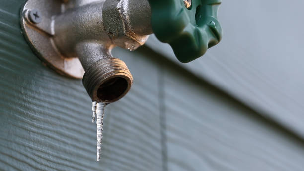 Best Shower Repair Services  in Lakeland Highlands, FL